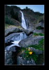 Voices of the Waterfall Voices of the Waterfall