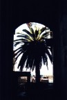 Volta e palma Volta e palma
