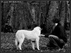 Incontro Incontro