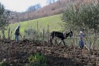 doppia trazione