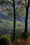 cartolina casalinga cartolina casalinga