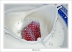 Fragola
