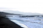 MARE MARE