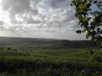Colline di Casciana Terme