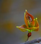 Chi � fuori � fuori chi � sotto � sotto...