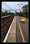 yellow yellow