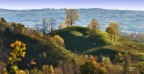 Colline Colline