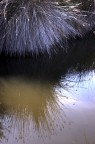 Riflessi Riflessi