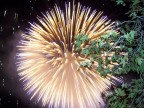 Fuochi d'artificio a Benestare Fuochi d'artificio a Benestare
