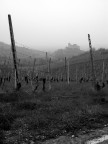 vigna e castello vigna e castello