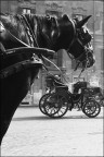 P.za di Spagna P.za di Spagna