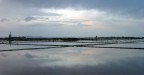 Saline - Trapani Saline - Trapani