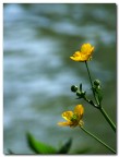 Giallo sul fiume Nera Giallo sul fiume Nera