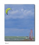 Kite Kite