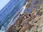Giocando con le onde sul Malecón Giocando con le onde sul Malecón