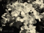 Purity Purity