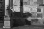 il re della piazza il re della piazza