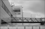 bridge bridge