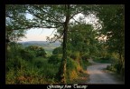 Poggio Murella - Toscana - Poggio Murella - Toscana -