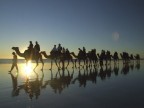 questa foto � stata scattata durante un tramonto sulla spiaggia di BROOME in Western Australia.
This photo was taken on a Sunset in Broome Western Australia...