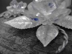 Crystalrose Crystalrose
