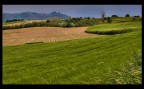 montevecchia montevecchia