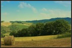 Primavera paglia e fieno Primavera paglia e fieno