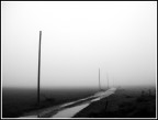in the fog ....2