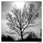 Fuji s5600.
Generalmente non uso titoli in inglese, ma stavolta...

[b]Critiche e commenti, pronti? VIA![/b]