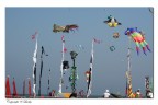 cervia 2007