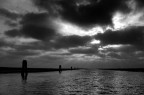Mare plumbeo Mare plumbeo