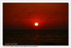 Tramonto a Fregene Tramonto a Fregene