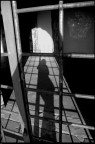 La mia ombra fra le sbarre e la ragnatela.. La mia ombra fra le sbarre e la ragnatela..