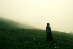 in the mist in the mist