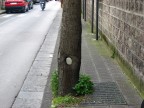 il buco il buco