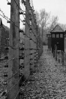 Auschwitz