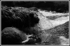 Dancing water ... Dancing water ...