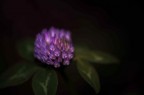 MezzoFuoco MezzoFuoco