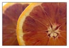 Progetto fruit: n°1 Progetto fruit: n°1