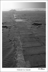 Verso il mare Verso il mare