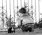 cuccioli cuccioli