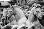 Fontana Fontana