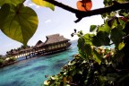 moorea moorea