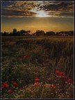 Al tramonto Al tramonto