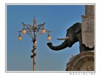 postata l'altro ieri, ma ho cercato di rimuovere l'alone bianco intorno all'elefante (comunque la vecchia � consultabile nella mia galleria)... sempre leggero HDR.

Commenti/critiche ben accetti.