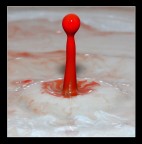 drop2 drop2