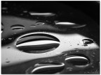 Acqua Acqua