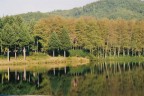lago di monte gambarie lago di monte gambarie