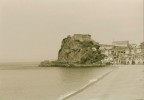 scilla scilla