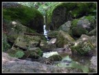 il fiume d'oro il fiume d'oro